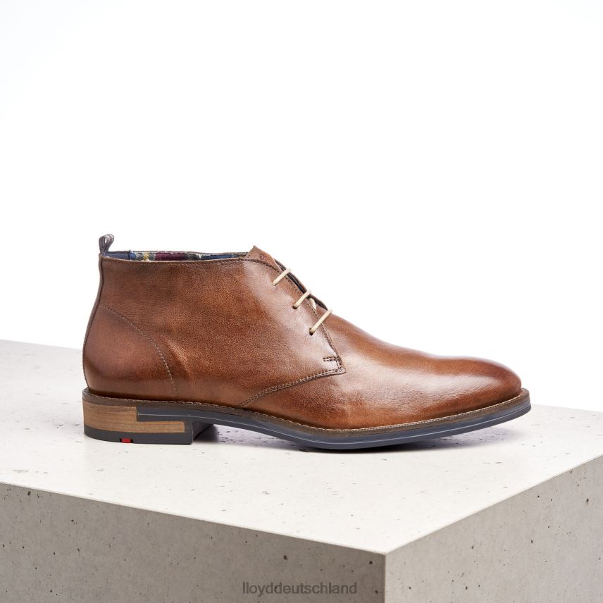 Schuhe LLOYD Daniel braun Männer PV6Z0549