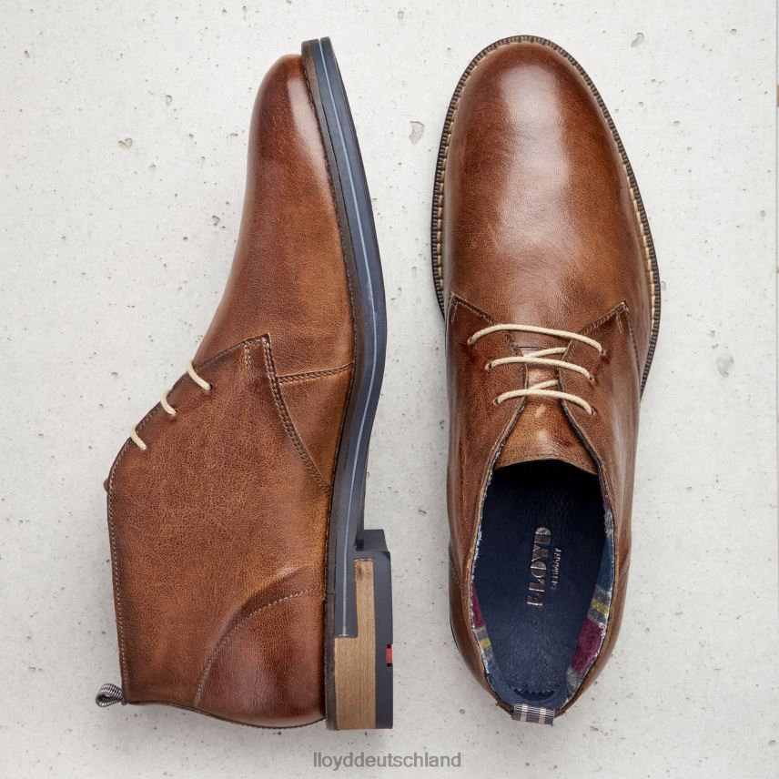 Schuhe LLOYD Daniel braun Männer PV6Z0549