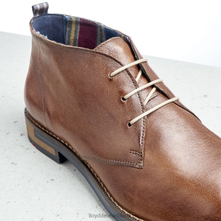 Schuhe LLOYD Daniel braun Männer PV6Z0549