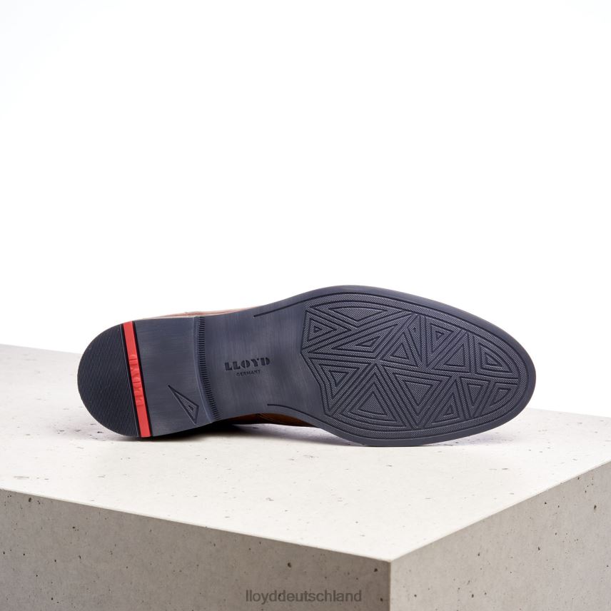 Schuhe LLOYD Daniel braun Männer PV6Z0549