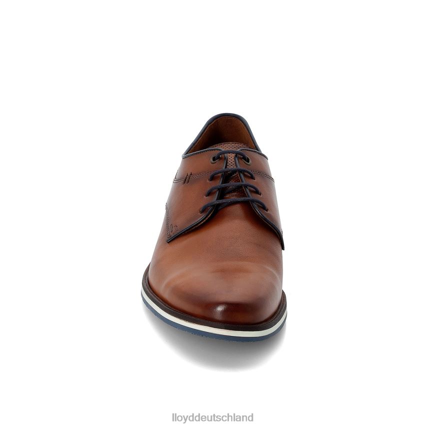 Schuhe LLOYD Danjaan braun Männer PV6Z0609
