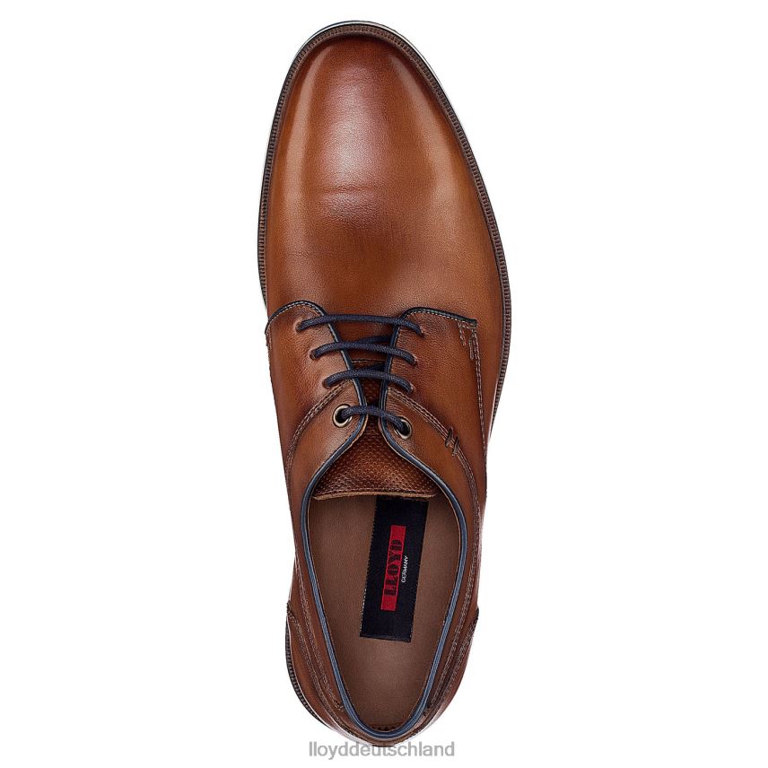 Schuhe LLOYD Danjaan braun Männer PV6Z0609