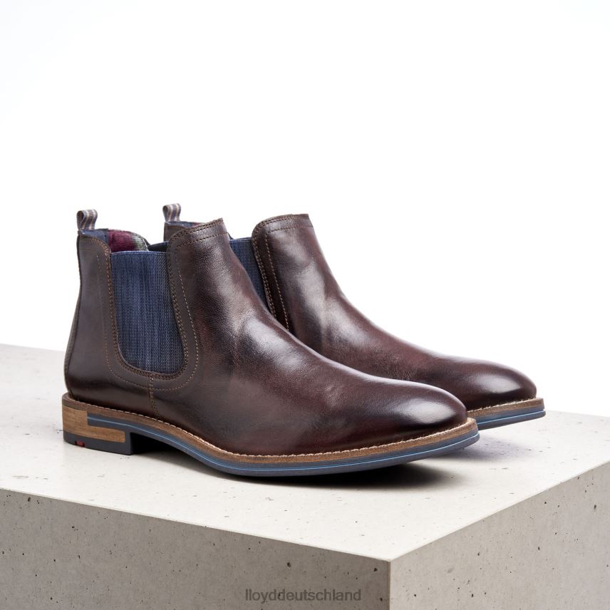 Schuhe LLOYD Dario braun Männer PV6Z01342