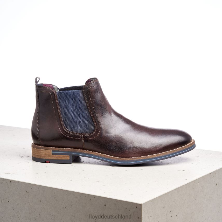 Schuhe LLOYD Dario braun Männer PV6Z01342