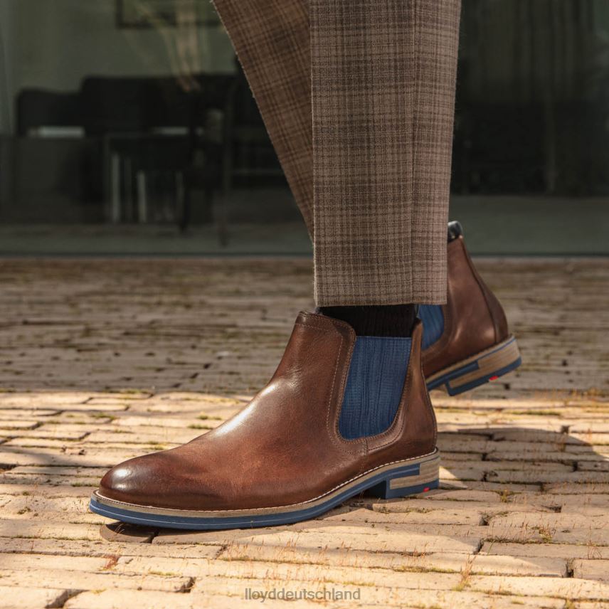 Schuhe LLOYD Dario braun Männer PV6Z01343