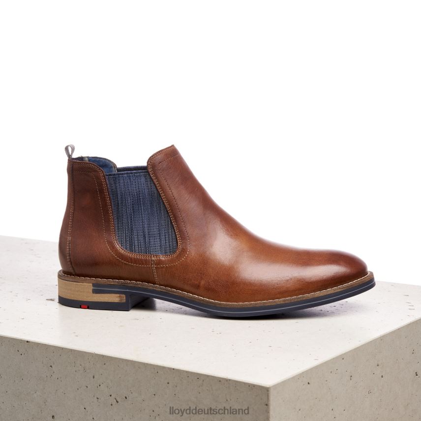 Schuhe LLOYD Dario braun Männer PV6Z01343