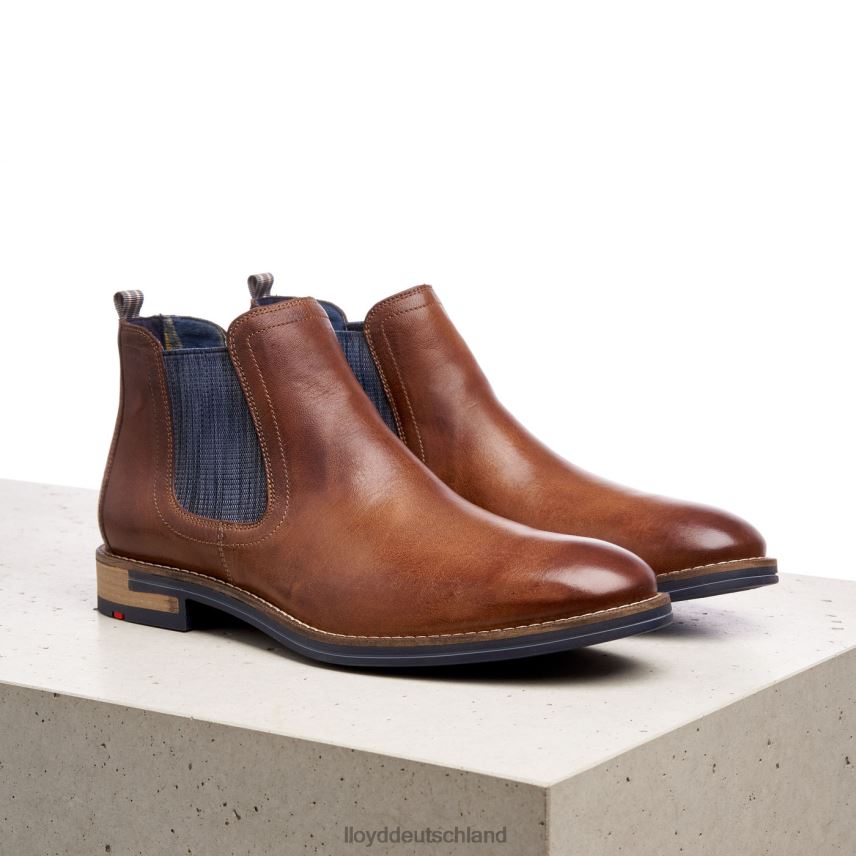 Schuhe LLOYD Dario braun Männer PV6Z01343