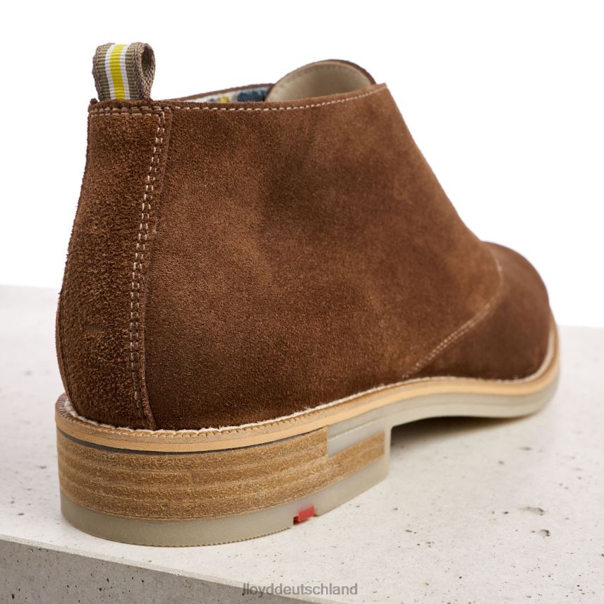 Schuhe LLOYD Darius braun Männer PV6Z0559