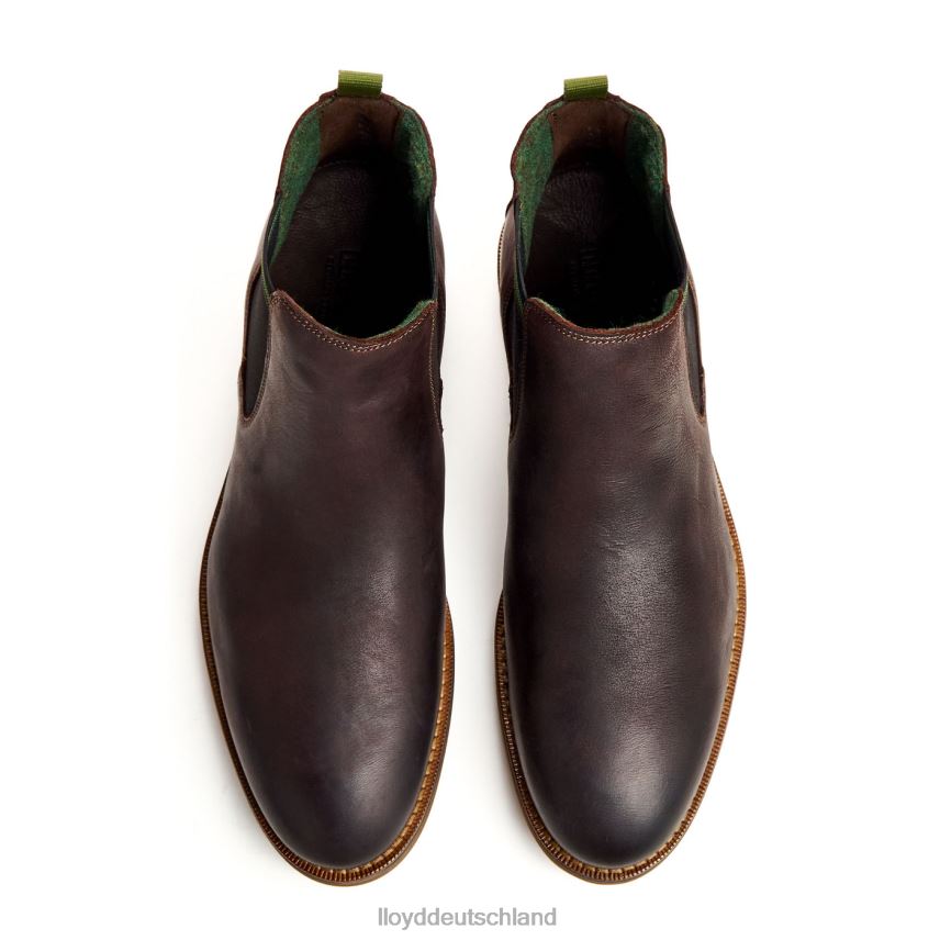 Schuhe LLOYD Darry braun Männer PV6Z0459