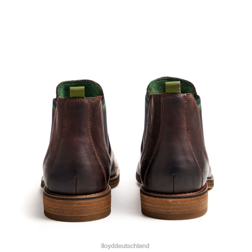 Schuhe LLOYD Darry braun Männer PV6Z0459