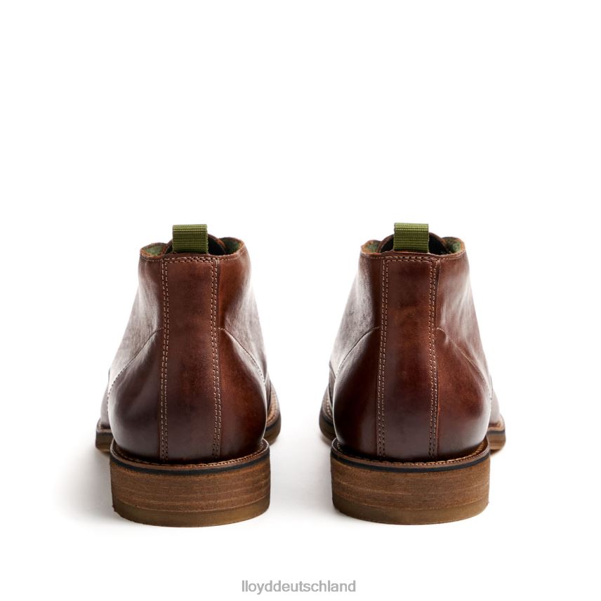 Schuhe LLOYD Dartmoor braun Männer PV6Z044