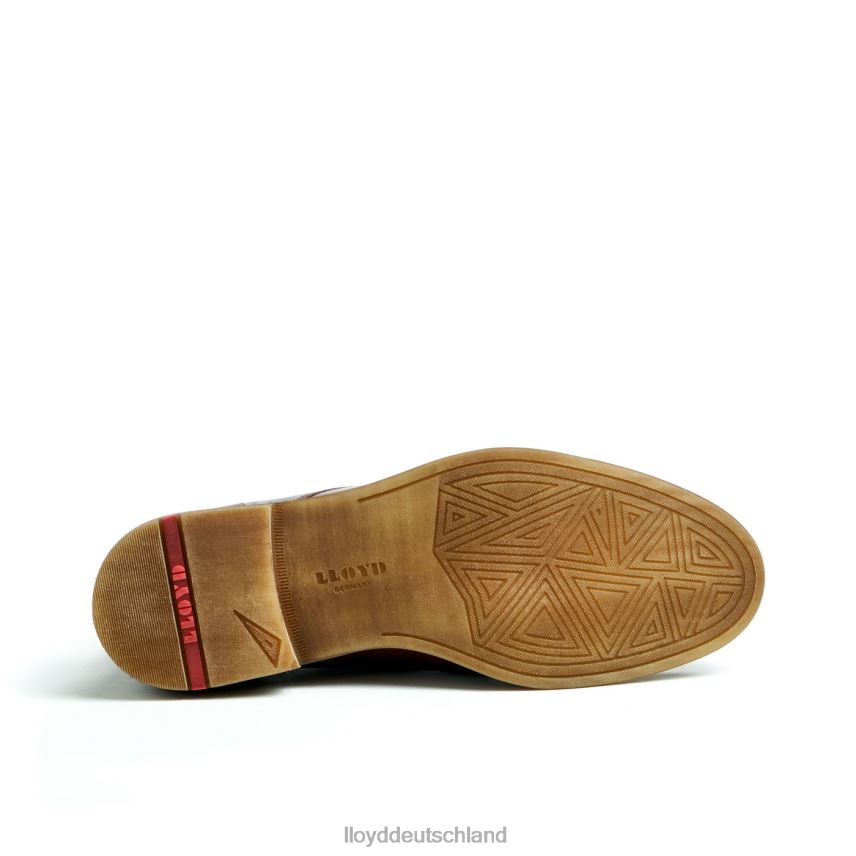 Schuhe LLOYD Dartmoor braun Männer PV6Z044