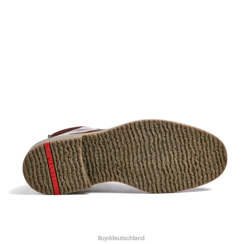 Schuhe LLOYD Darwin braun Männer PV6Z0475