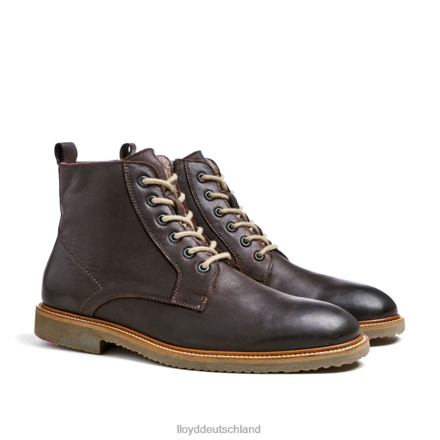 Schuhe LLOYD Darwin braun Männer PV6Z0476