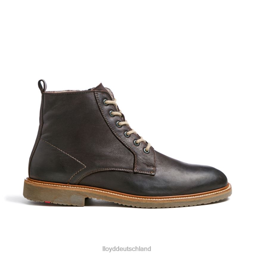 Schuhe LLOYD Darwin braun Männer PV6Z0476