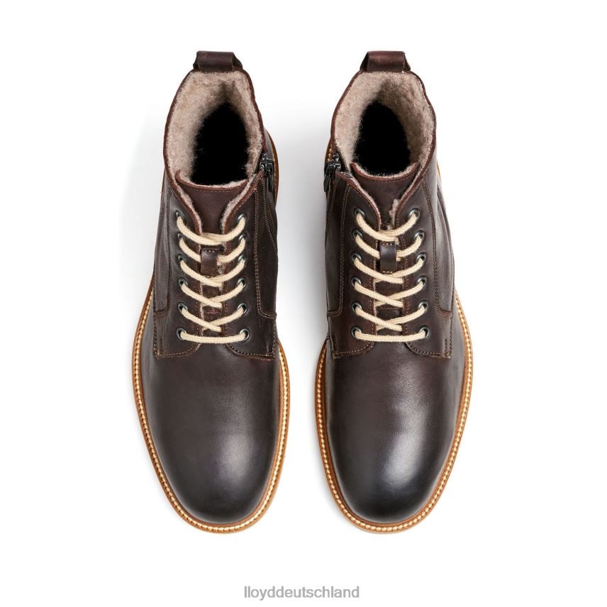 Schuhe LLOYD Darwin braun Männer PV6Z0476
