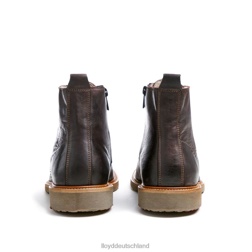 Schuhe LLOYD Darwin braun Männer PV6Z0476