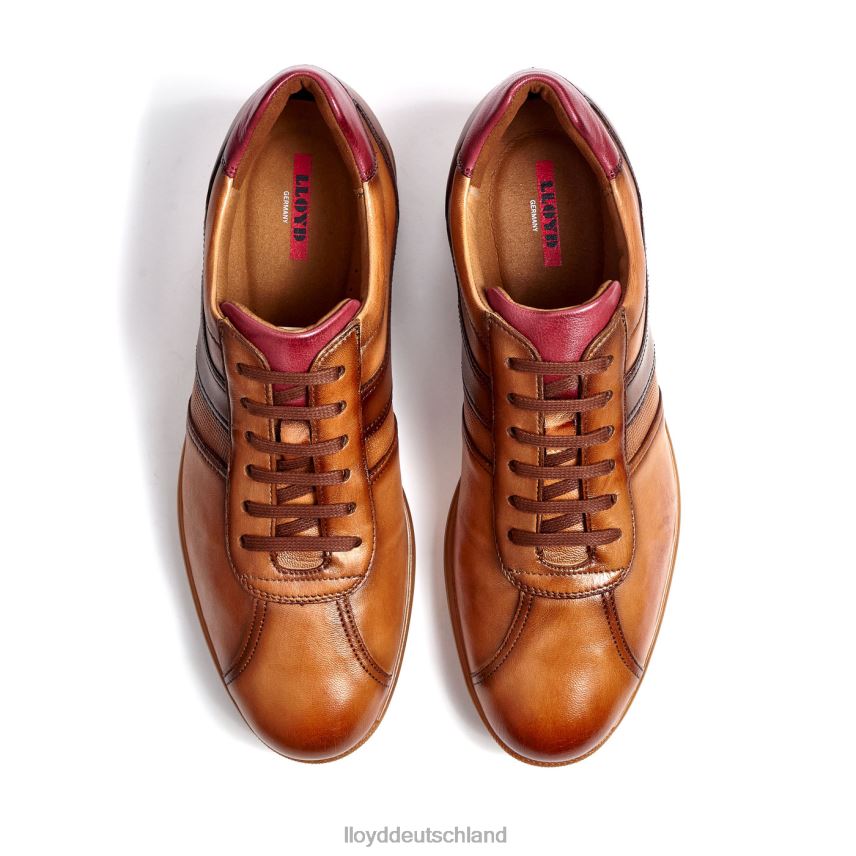 Schuhe LLOYD Davos braun Männer PV6Z0308