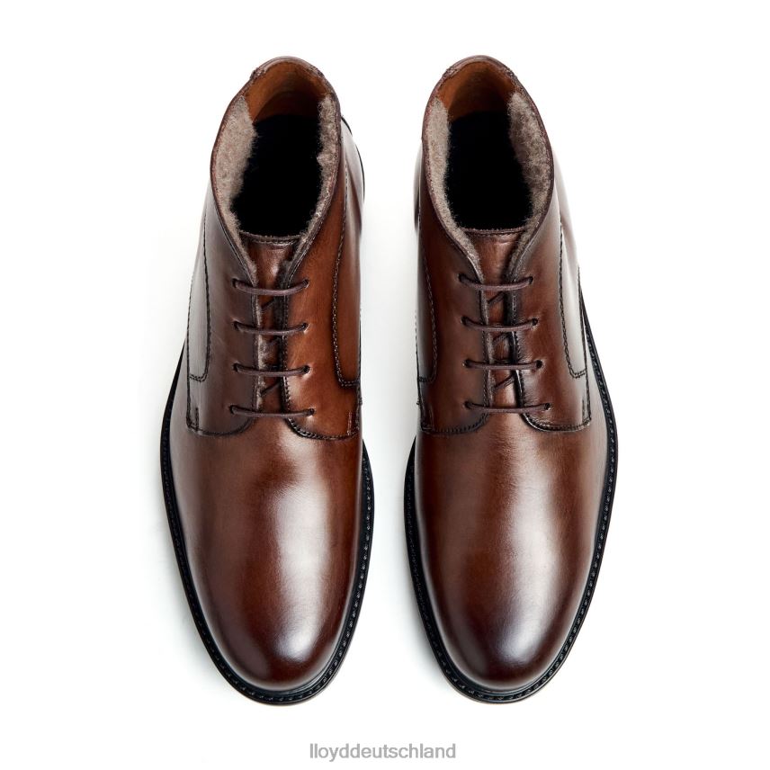 Schuhe LLOYD Delaware braun Männer PV6Z0461