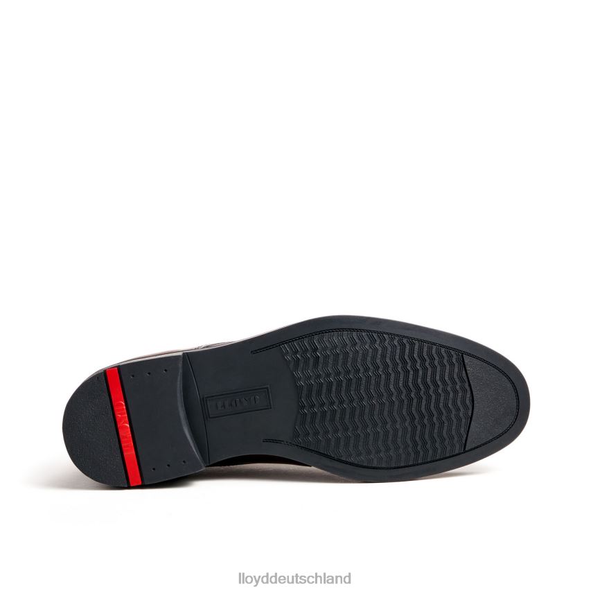 Schuhe LLOYD Delaware braun Männer PV6Z0461