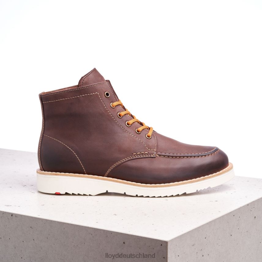 Schuhe LLOYD Denier braun Männer PV6Z0504