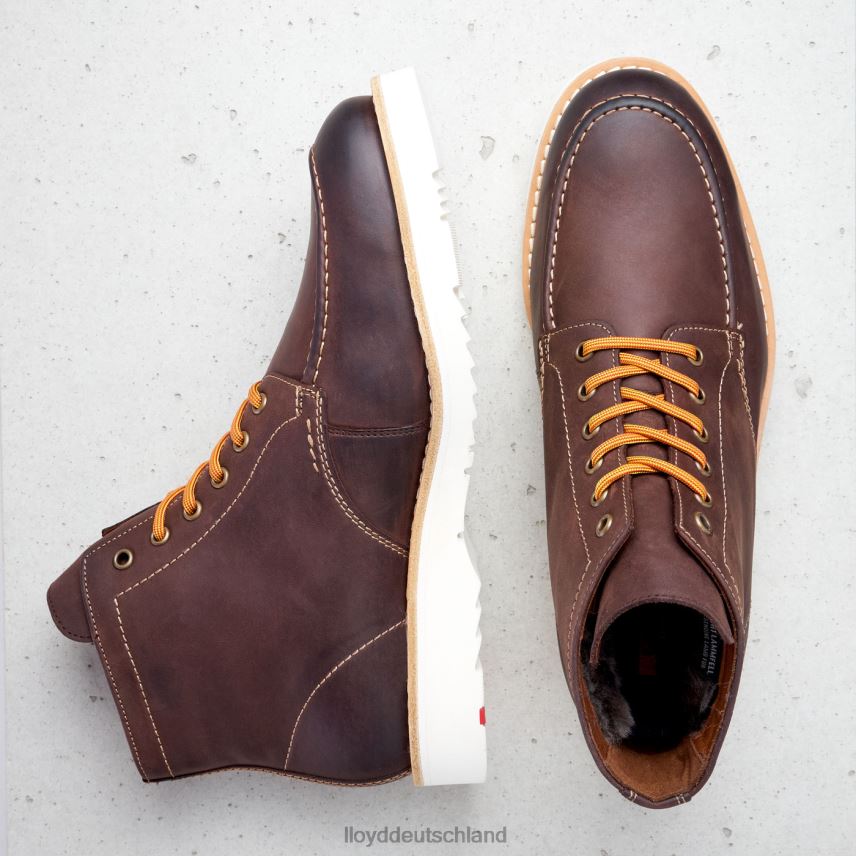 Schuhe LLOYD Denier braun Männer PV6Z0504