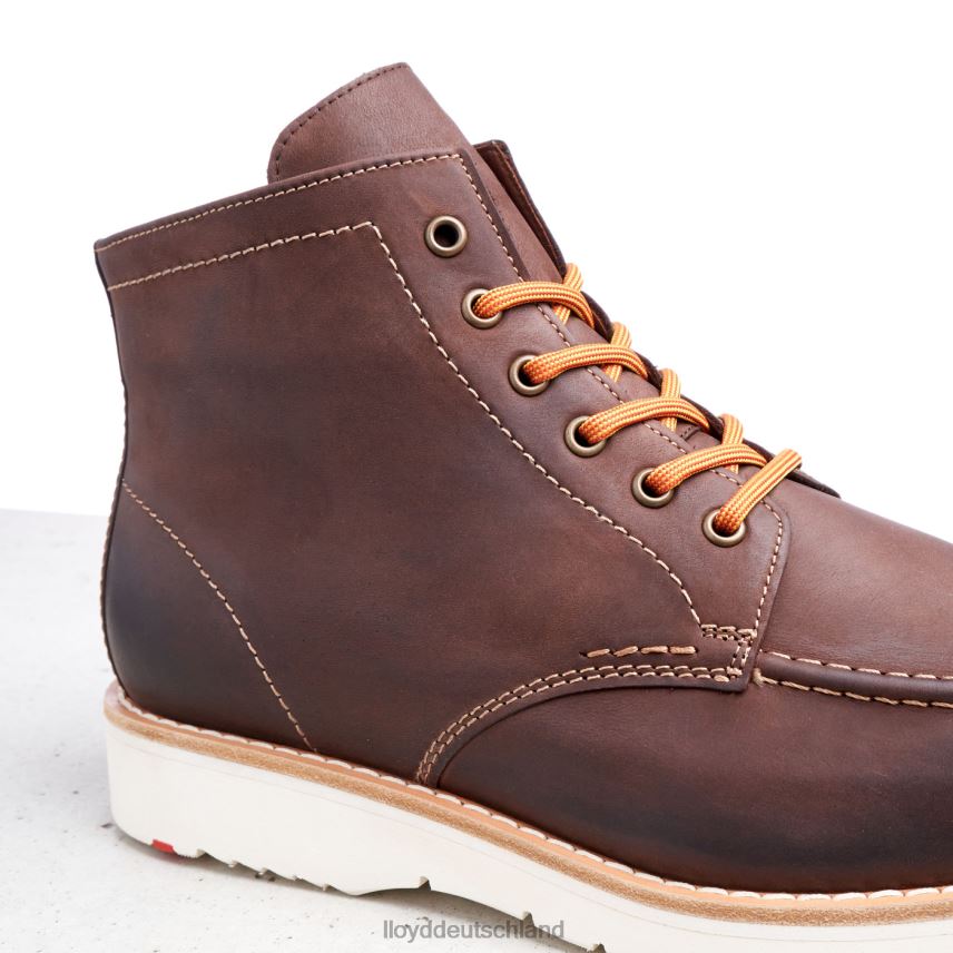 Schuhe LLOYD Denier braun Männer PV6Z0504