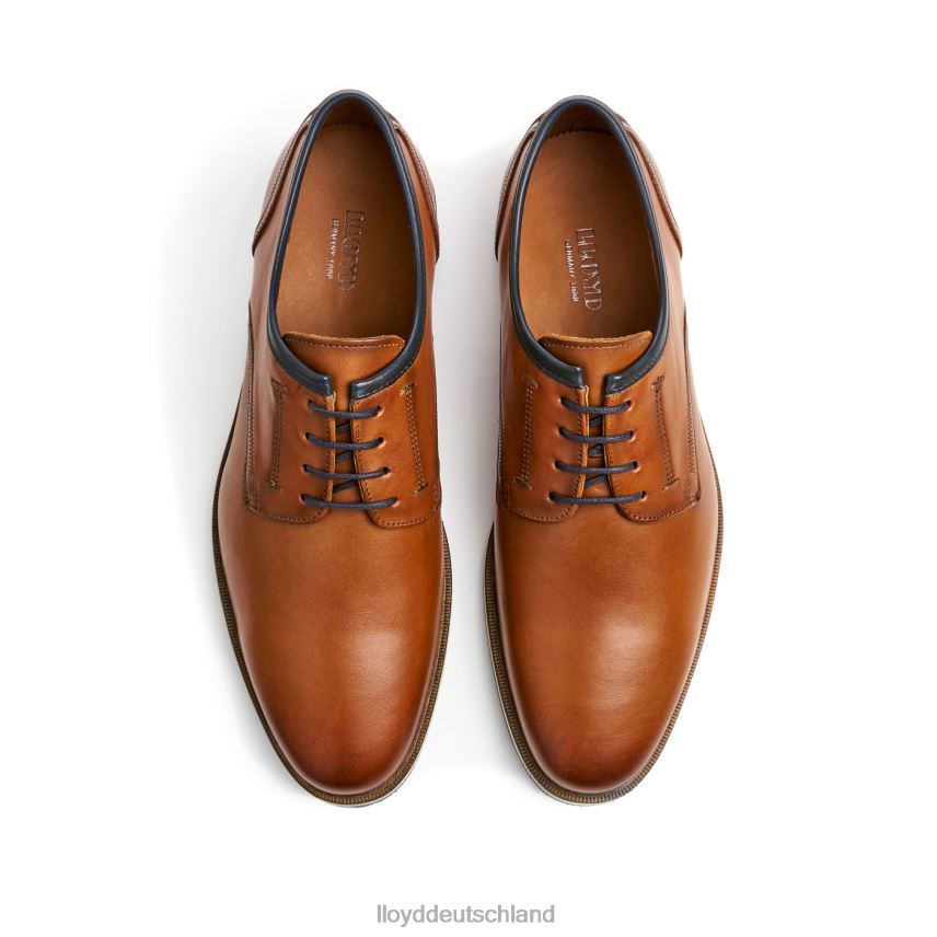Schuhe LLOYD Detroit braun Männer PV6Z0113