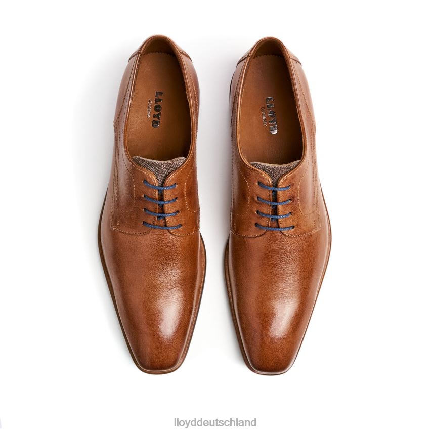 Schuhe LLOYD Don braun Männer PV6Z0109