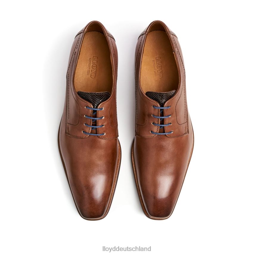 Schuhe LLOYD Don braun Männer PV6Z0112