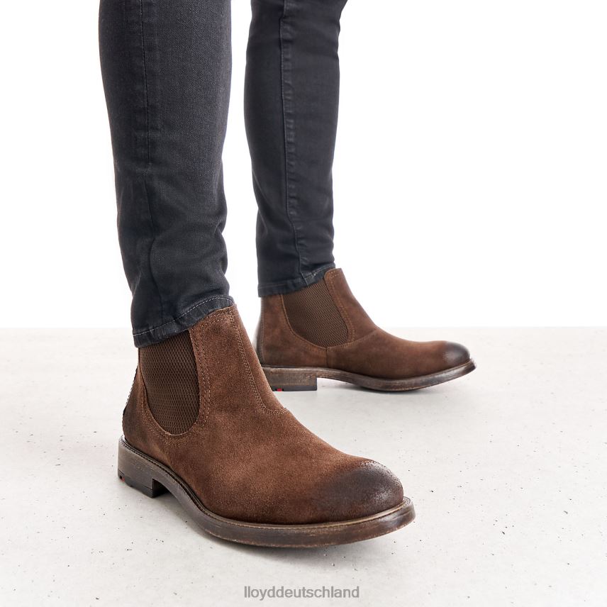 Schuhe LLOYD Duriel braun Männer PV6Z0525