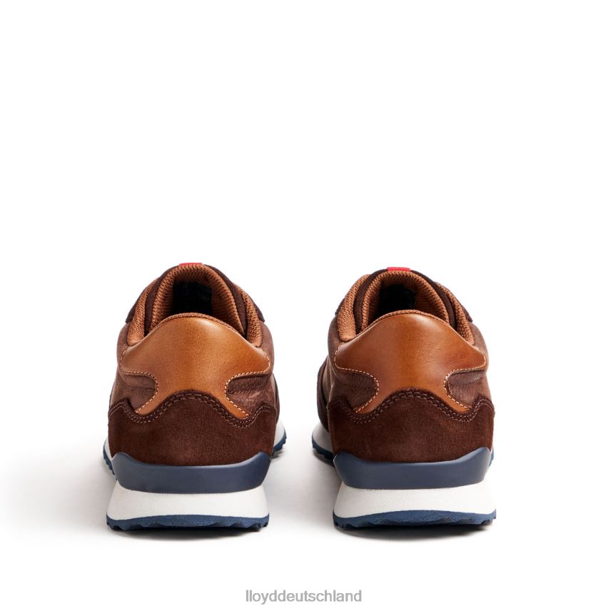 Schuhe LLOYD Edmond braun Männer PV6Z0290