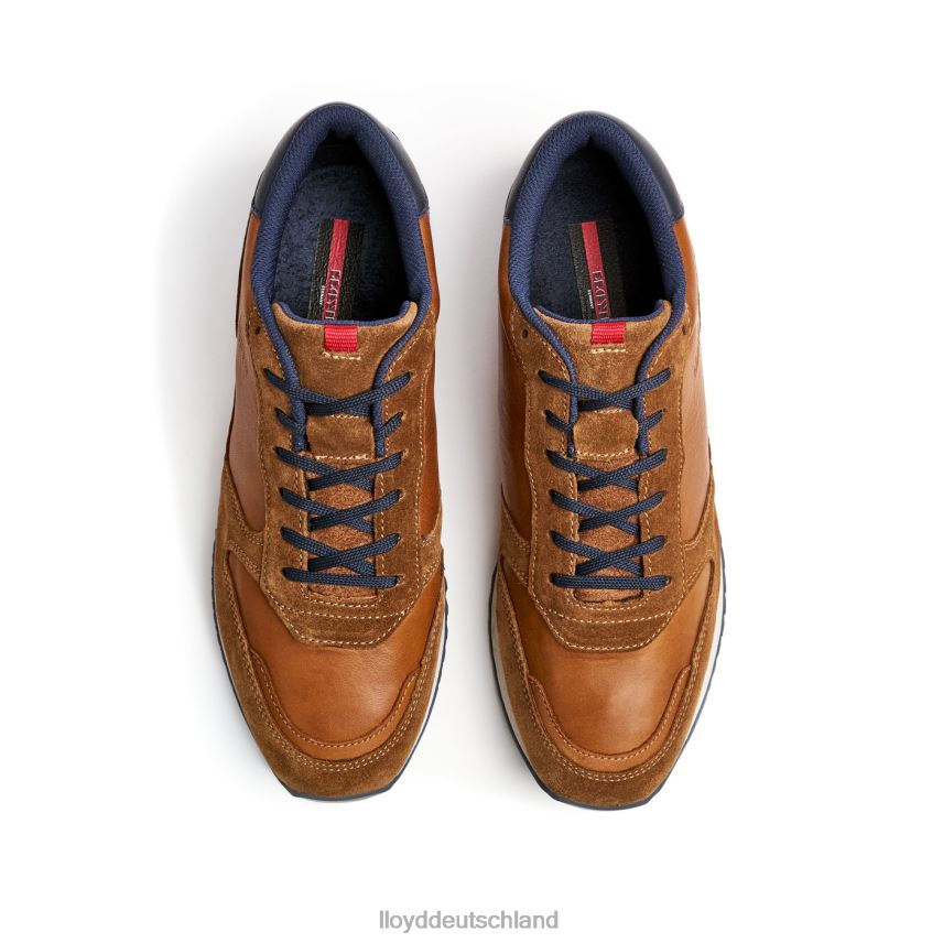 Schuhe LLOYD Edmond braun Männer PV6Z0310
