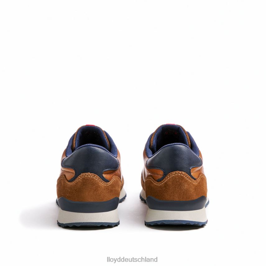 Schuhe LLOYD Edmond braun Männer PV6Z0310
