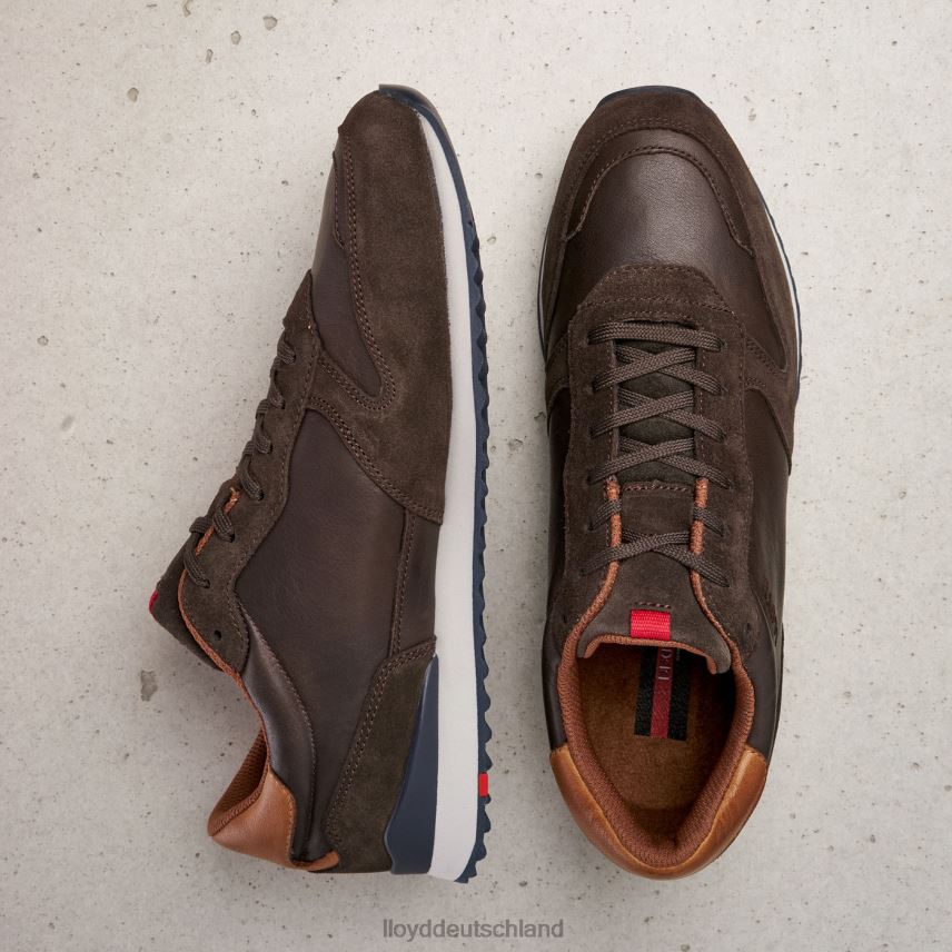 Schuhe LLOYD Edmond braun Männer PV6Z0401