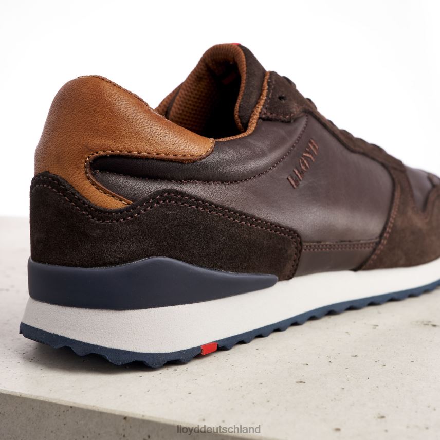Schuhe LLOYD Edmond braun Männer PV6Z0401