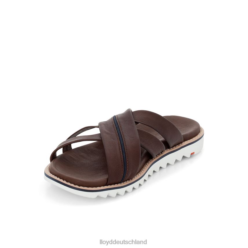 Schuhe LLOYD Edvino braun Männer PV6Z0584