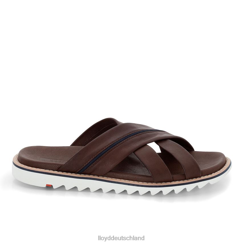 Schuhe LLOYD Edvino braun Männer PV6Z0584