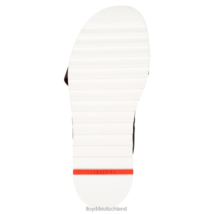 Schuhe LLOYD Edvino braun Männer PV6Z0584