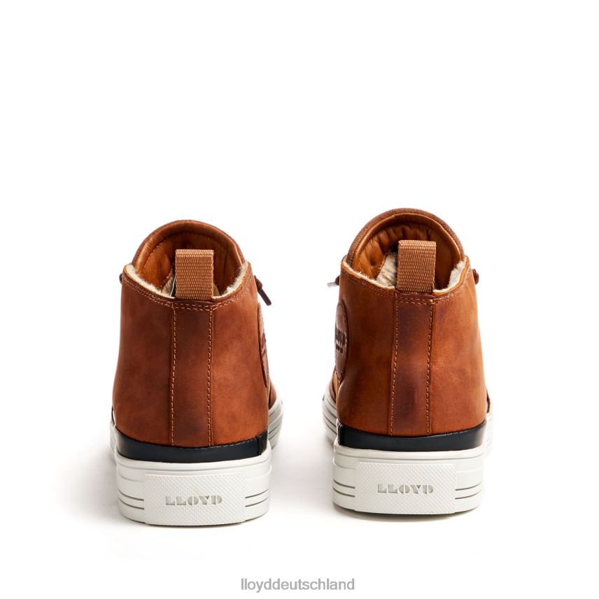 Schuhe LLOYD Edward braun Männer PV6Z0298