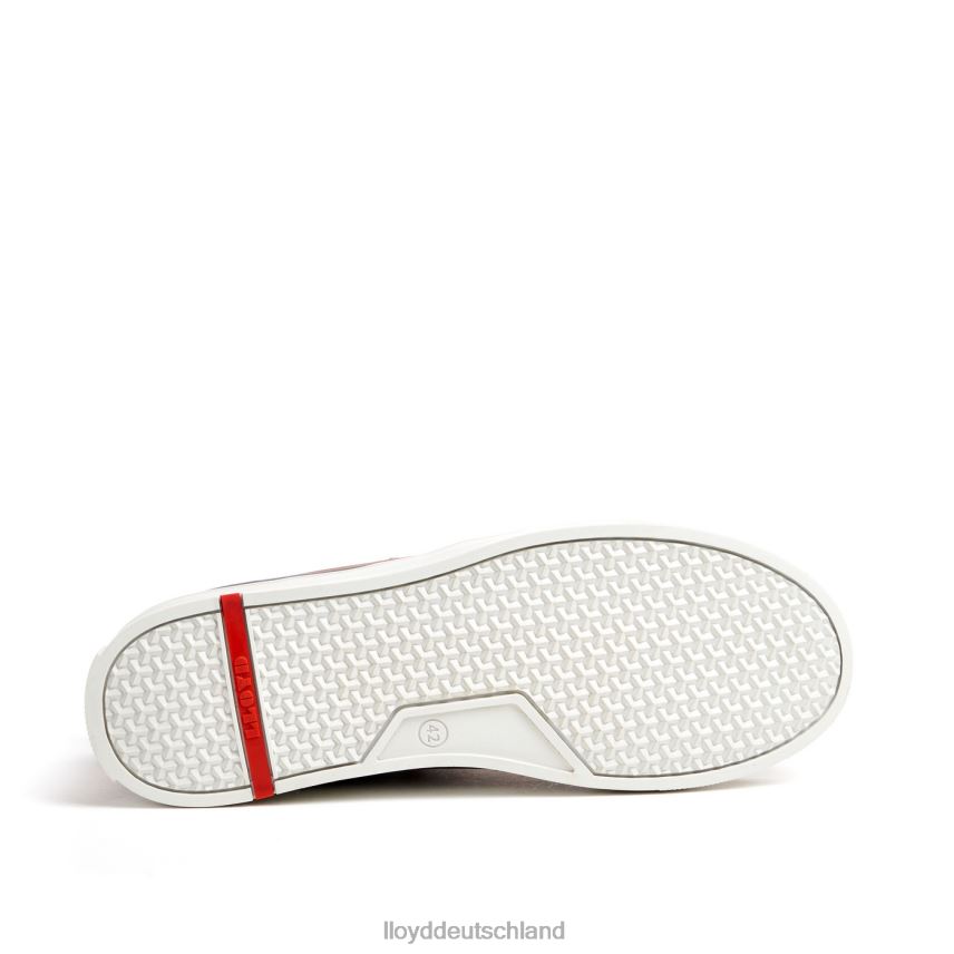 Schuhe LLOYD Edward braun Männer PV6Z0298