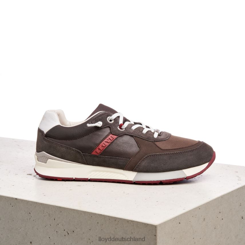 Schuhe LLOYD Egidio braun Männer PV6Z0432