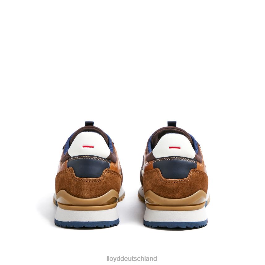 Schuhe LLOYD Eisen braun Männer PV6Z0293