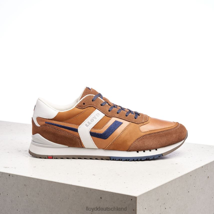 Schuhe LLOYD Elio braun Männer PV6Z0381