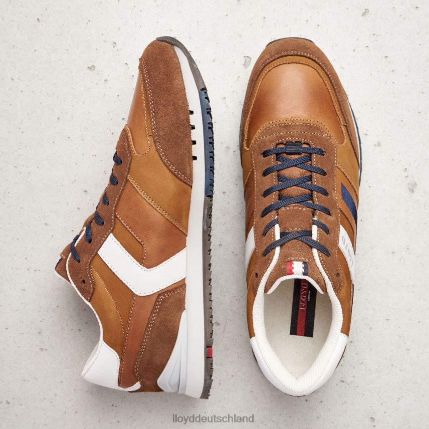 Schuhe LLOYD Elio braun Männer PV6Z0381