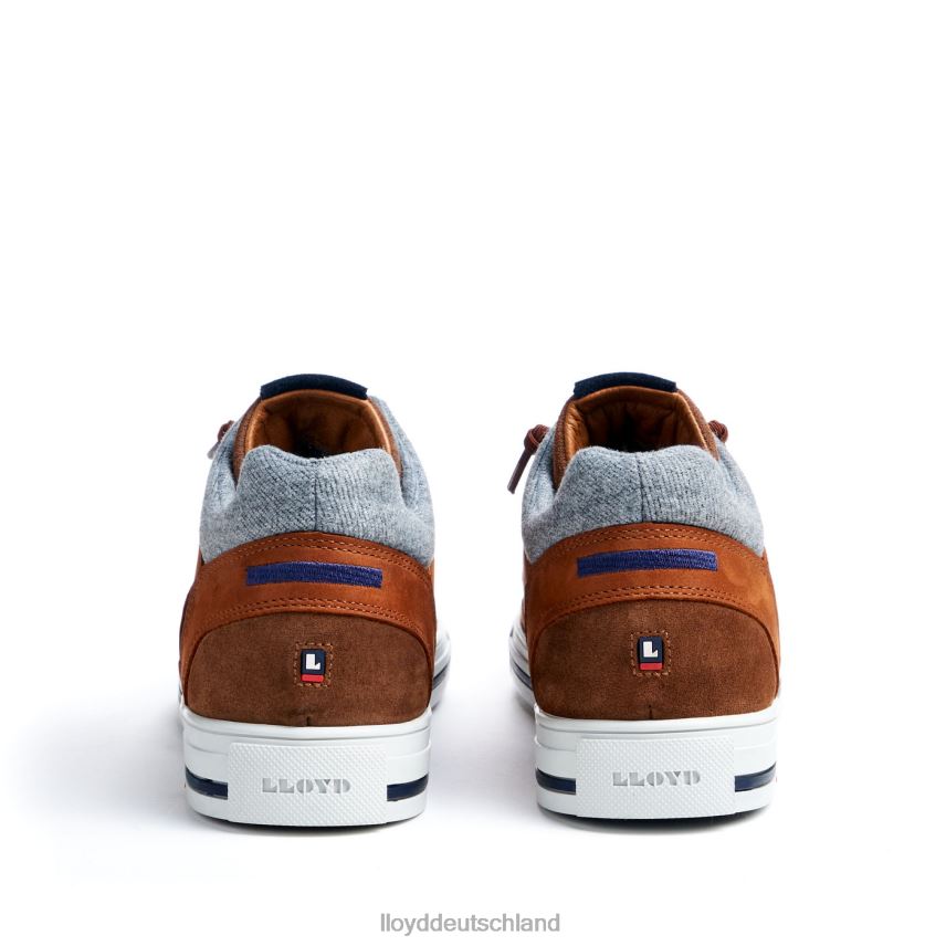 Schuhe LLOYD Ellison braun Männer PV6Z0316