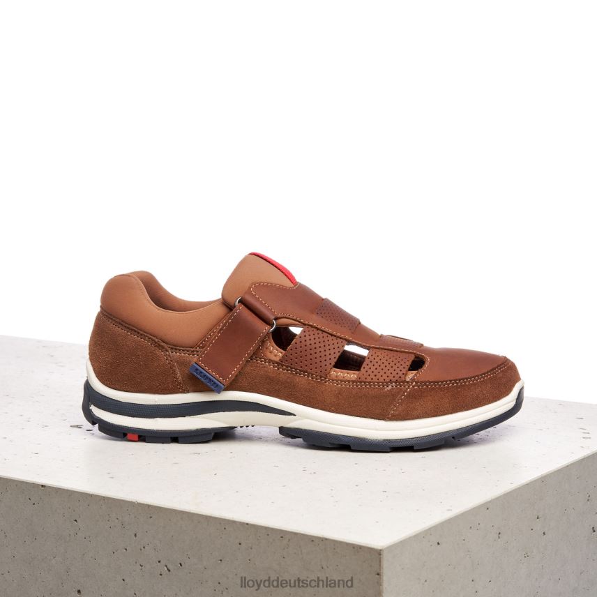Schuhe LLOYD Elrado braun Männer PV6Z0625