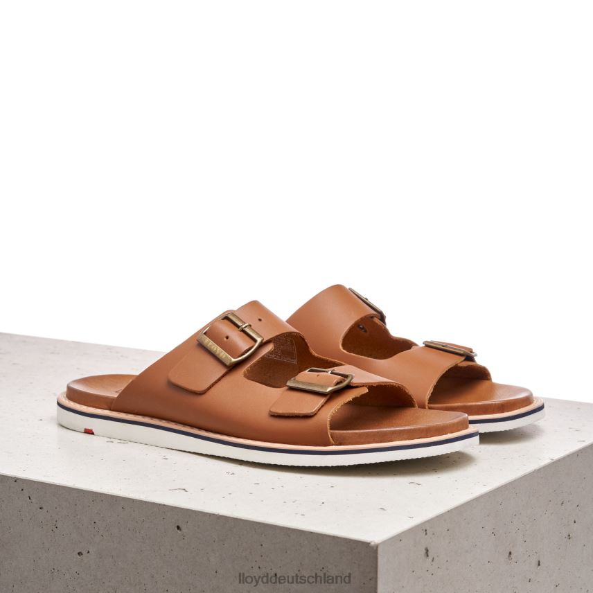 Schuhe LLOYD Emerson braun Männer PV6Z0579