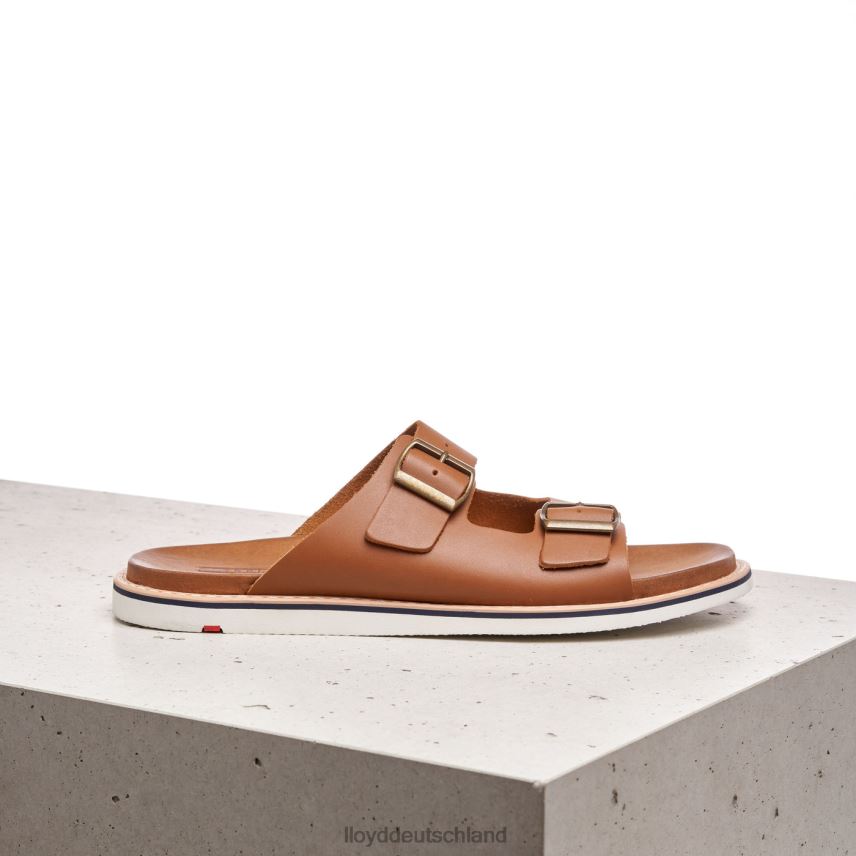 Schuhe LLOYD Emerson braun Männer PV6Z0579