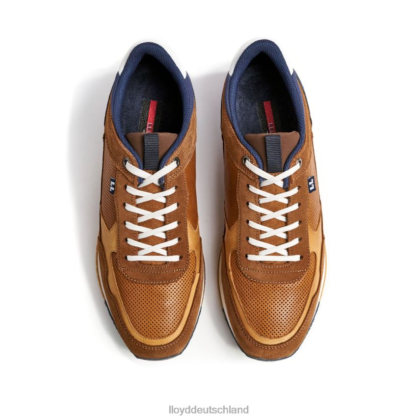 Schuhe LLOYD Emilian braun Männer PV6Z0282